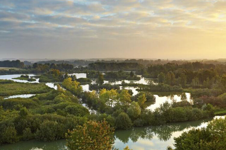 Hauts-de-France natuur