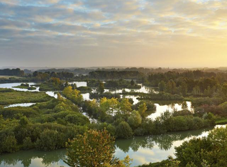 Hauts-de-France natuur