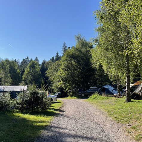 Kampeerplaatsen La Sténiole