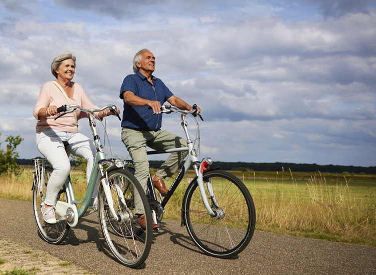 Vechtdal fietsvierdaagse