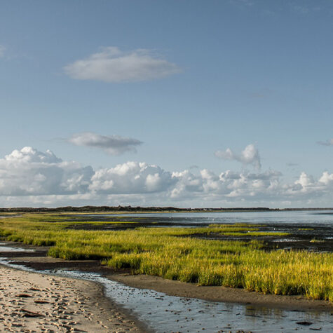 Sylt