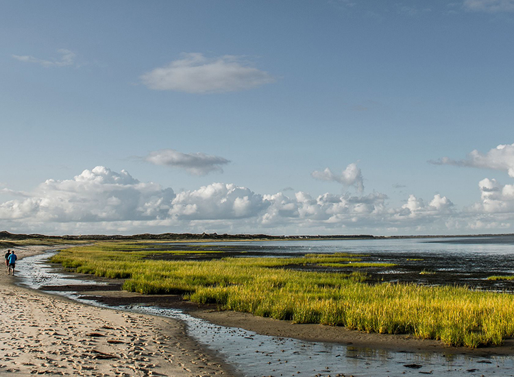 Sylt