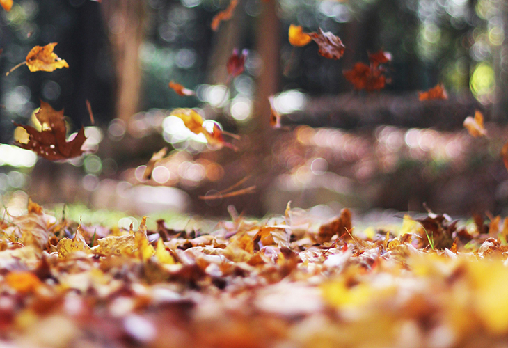 Herfst outdoorkleding