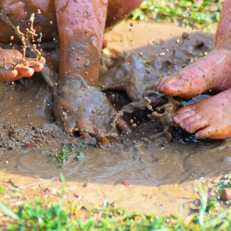 Camping Buitengoed de Boomgaard