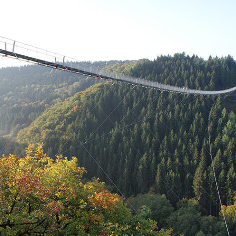 Geierlay hangbrug