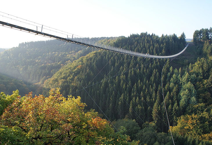 Geierlay hangbrug