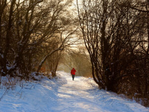 winterwandelingen