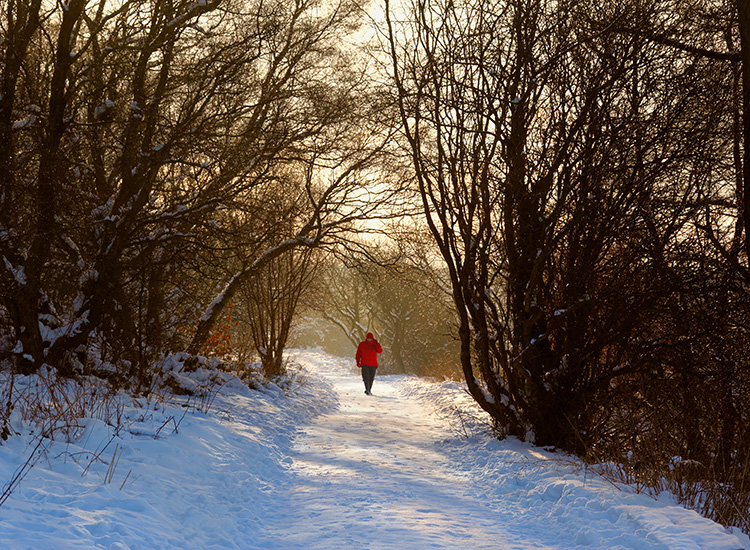 winterwandelingen