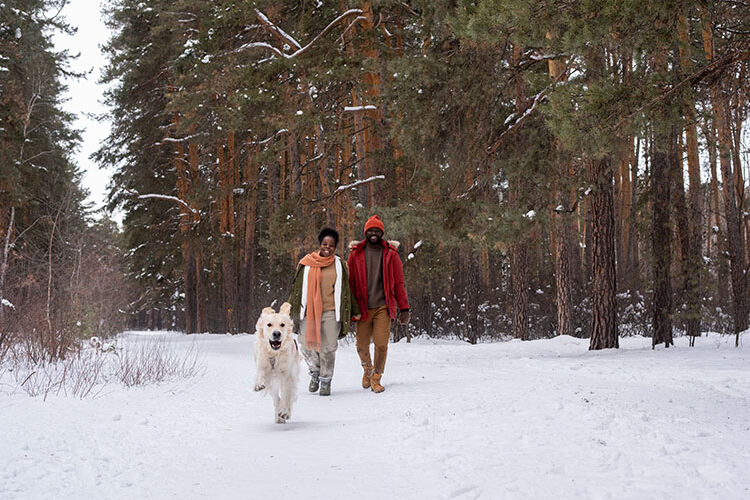 winterwandeling