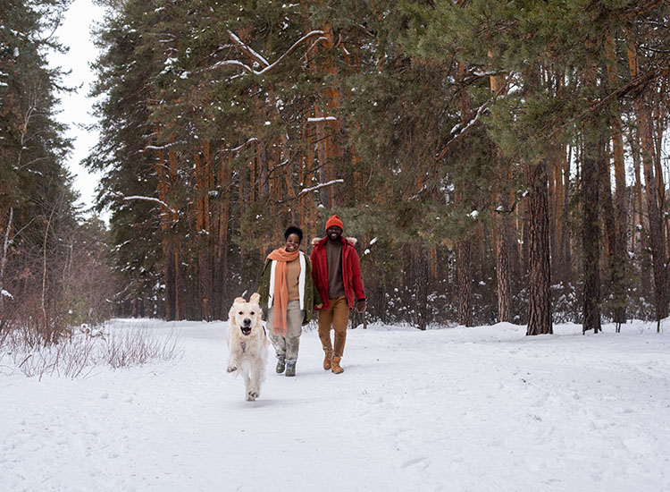 winterwandeling