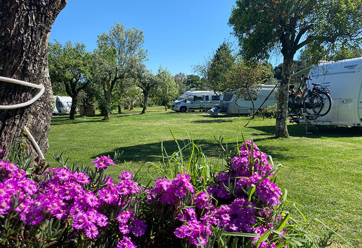 Quinta da Cerejeira