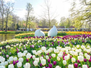 Keukenhof